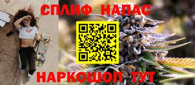 дживик Нарткала